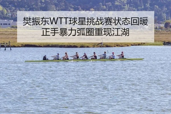 樊振东WTT球星挑战赛状态回暖 正手暴力弧圈重现江湖